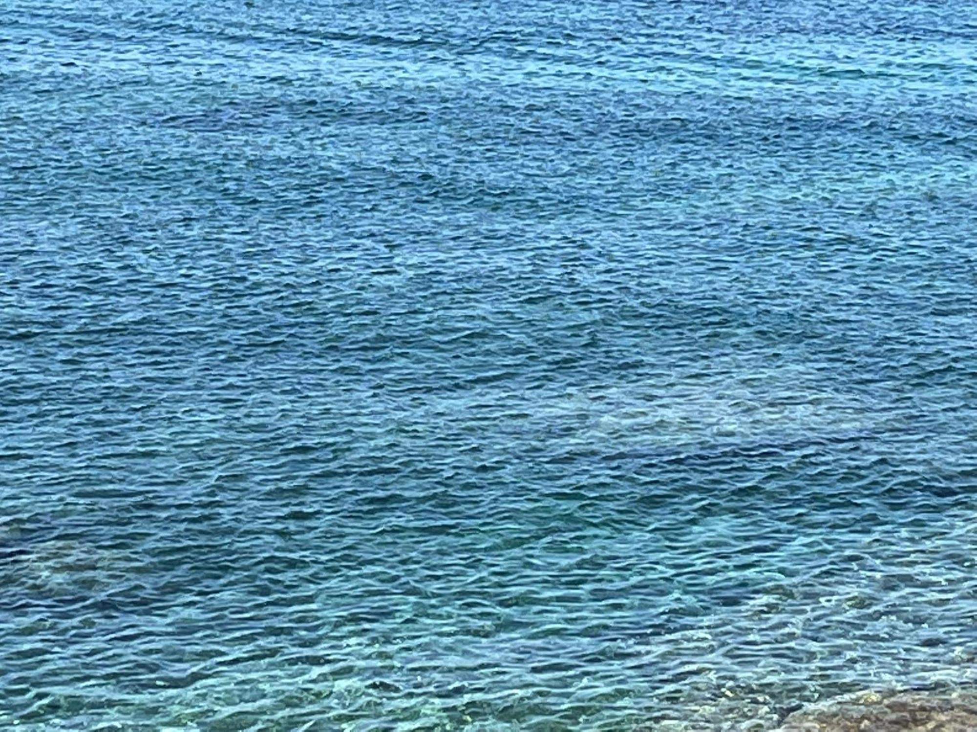 spiaggia e mare Alghero Esterno foto